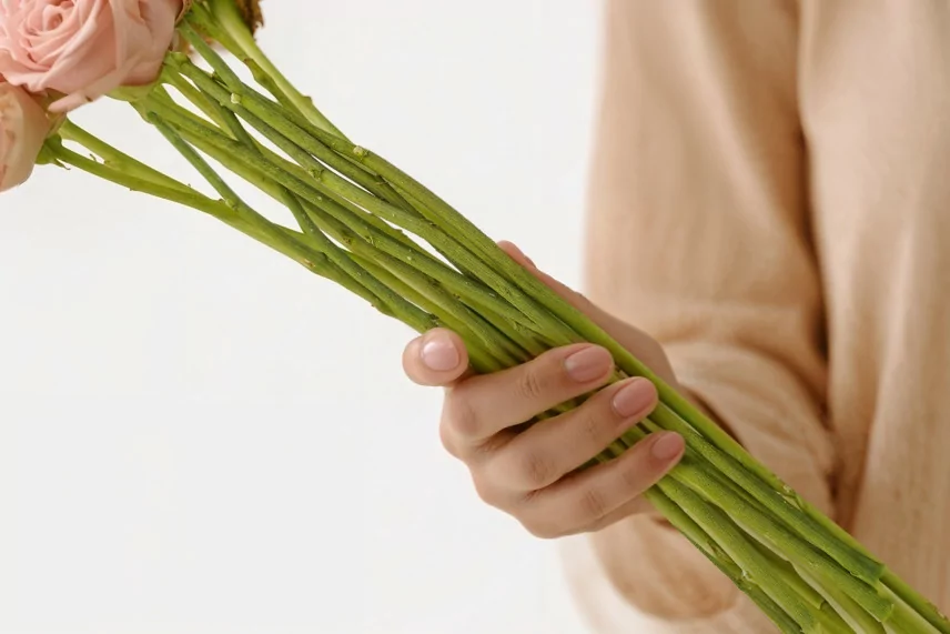 Flower stem preserved - 10 Stems - Green