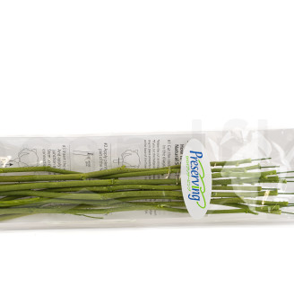 Flower stem stabilized - 10 Stems - Green