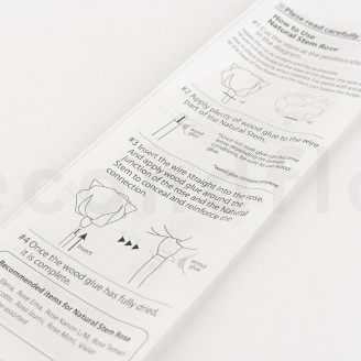 Tallo de flor preservado - 10 tallos - Verde