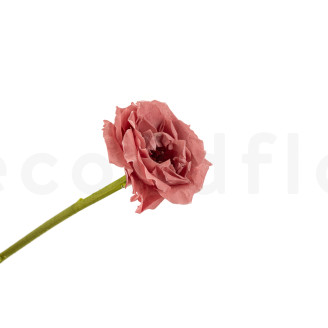 Flower stem stabilized - 10 Stems - Green