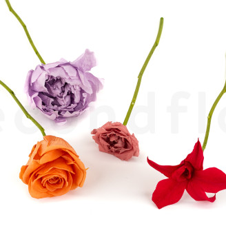 Tallo de flor preservado - 10 tallos - Verde