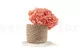 Hortensia stabilis&eacute; Corail 8