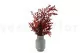 Konservierter Parvifolia-Eukalyptus Rot 8