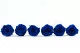 Preserved Rose L Dark Blue (x6) 6