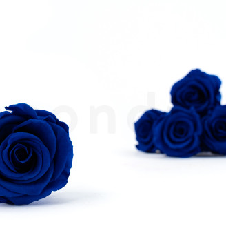 Stabilized rose Verdissimo L - Box of 6 - Dark Blue