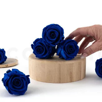Rosa preservada L Azul oscuro (x6)