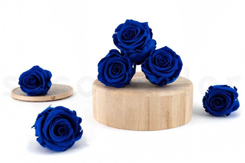 Rosa preservada Verdissimo L - Caja de 6 - Dark Blue