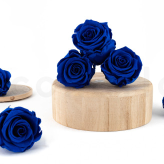 Stabilized rose Verdissimo L - Box of 6 - Dark Blue