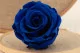 Rose stabilis&eacute;e L Bleu Fonc&eacute; (x6) 3