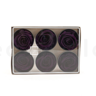 Rosa stabilizzata Verdissimo L - Scatola da 6 - Pourpre