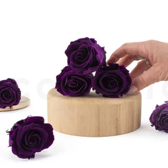 Rose stabilis&eacute;e L Pourpre (x6)