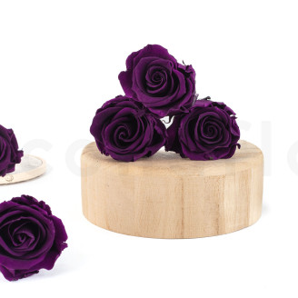 Preserved rose Verdissimo L - Box of 6 - Pourpre