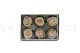 Preserved Rose L Champagne (x6) 8