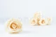 Rosa stabilizzata L Champagne (x6) 7