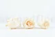 Konservierte Rose L Champagne (x6) 4