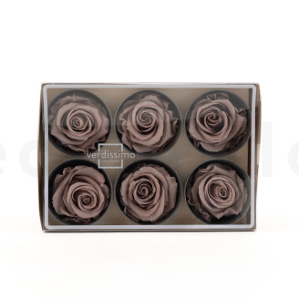 Rosa preservata Verdissimo L - Scatola da 6 - Hazelnut