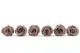 Preserved Rose L Hazelnut (x6) 6
