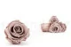 Konservierte Rose L Haselnuss (x6) 7