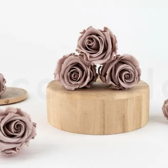 Rosa preservada Verdissimo L - Caja de 6 - Hazelnut