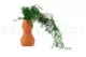 Preserved Asparagus Sprengeri Green 3