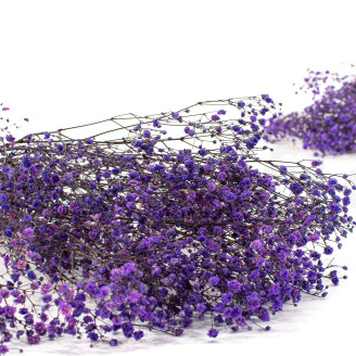 Gypsophila stabilizzata - Bouquet - Lavanda