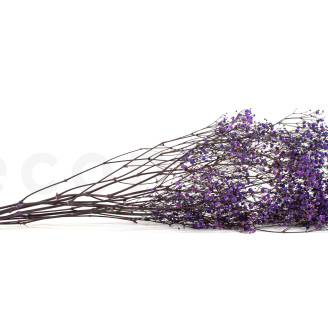 Stabilized Gypsophila - Bouquet - Lavender