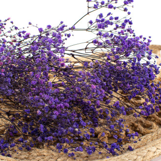 Stabilized Gypsophila - Bouquet - Lavender