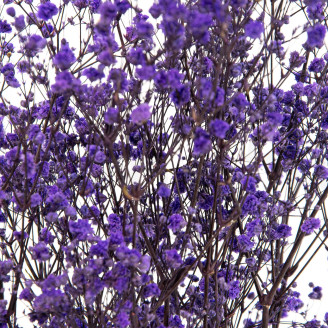 Gypsophile Stabilisé - Bouquet - Lavande
