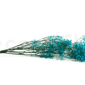 Gypsophile Stabilisé - Bouquet - Bleu clair