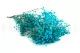Gipsofila preservada Azul Claro 7