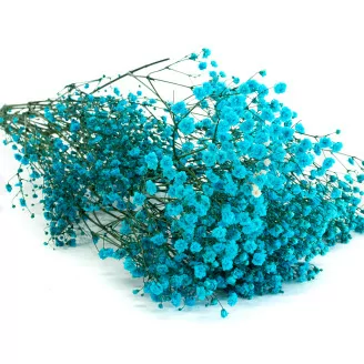 Preserved Gypsophila Light Blue