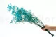 Preserved Gypsophila Light Blue 4