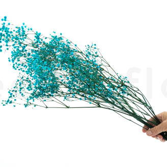 Gypsophila stabilizzata - Bouquet - Blu chiaro