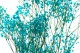 Preserved Gypsophila Light Blue 2