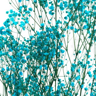 Preserved Gypsophila - Bouquet - Light Blue