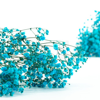 Stabilized Gypsophila - Bouquet - Light Blue