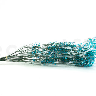 Gipsofila preservada - Ramo - Azul claro