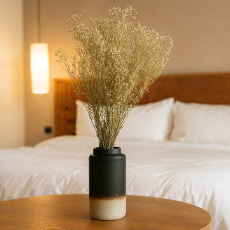 Gypsophile Stabilisé - Naturel