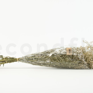 Gypsophila Stabilized - Natural