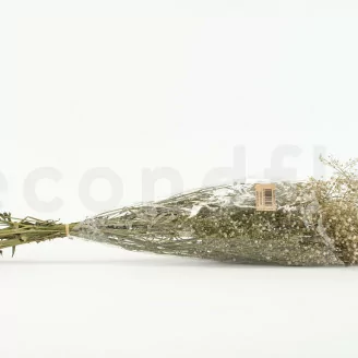 Preserved Gypsophila Natural