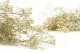 Gypsophile stabilis&eacute; Naturel 6