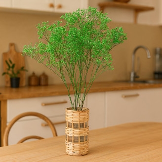 Gypsophila stabilizzata - Bouquet - Verde