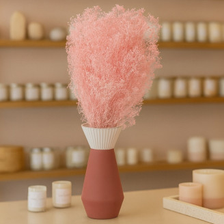 Mini Gipsofila Preservada - Rosa Claro