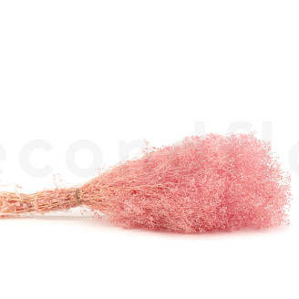 Mini Gipsofila Preservada - Rosa Claro