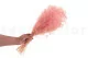 Preserved Mini Gypsophila Light Pink 4