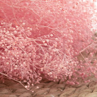 Mini Gipsofila Preservada - Rosa Claro