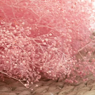Preserved Mini Gypsophila Light Pink
