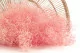 Gypsophile Mini stabilis&eacute; Rose Clair 3