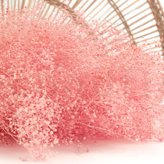 Mini Gipsofila Preservada - Rosa Claro