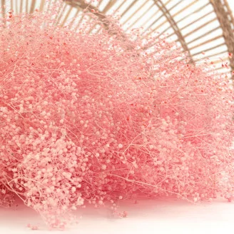 Preserved Mini Gypsophila Light Pink